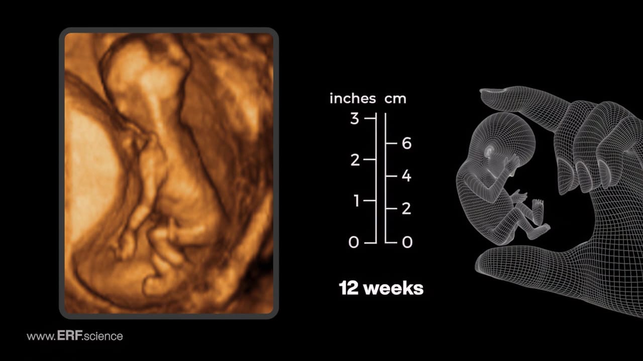 12-weeks-hd-thumbnail