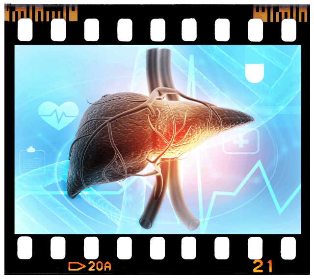 Week 8 – Embryonic & Fetal Video Clips