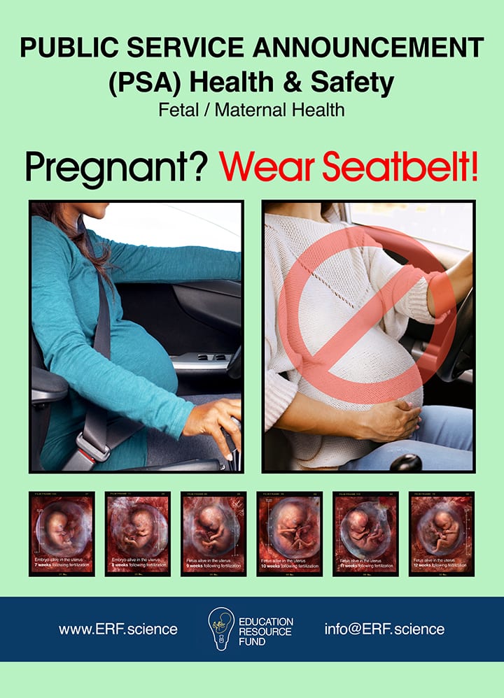 Public Service Announcement Cover - Wear Seatbelt